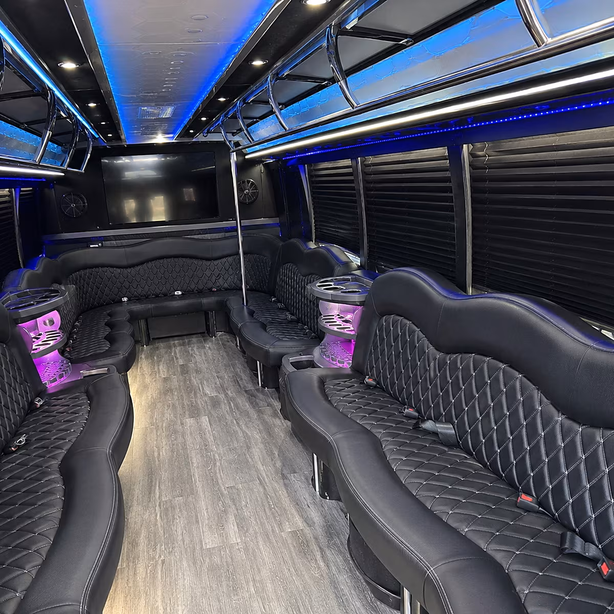 roseville night out party bus rental
